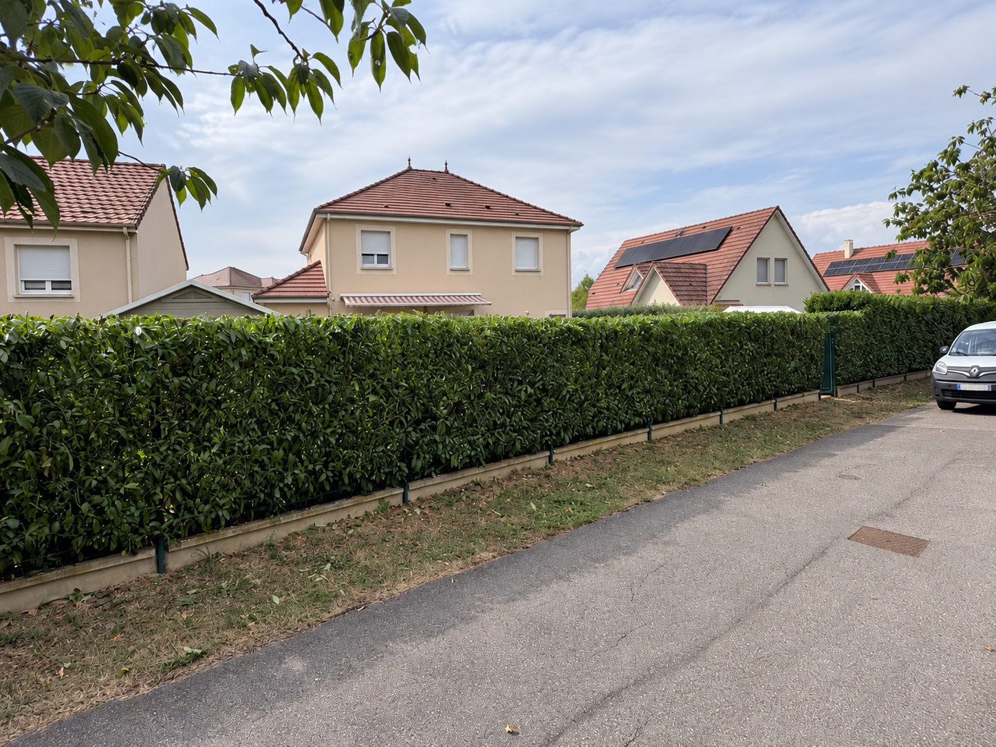 Haie après taille le long d’une clôture, vue depuis la rue